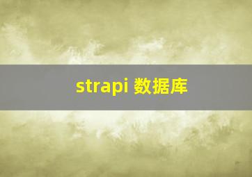 strapi 数据库